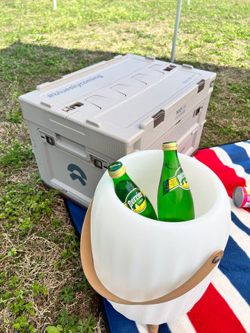 Fifn B01 Speaker lamp Ice Bucket Wine Cooler Portable with LED Light and Plants Pot - Waterproof for Outdoor Parties and Home Decoration - FIFN