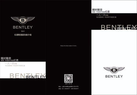 FIFN Wine Tasting Kit with Wine Aerator, Standard Needle, User Guide, Argon Gas Canisters (Set of 3), Needle Cleaning Solution, and Portable Bag - FIFN