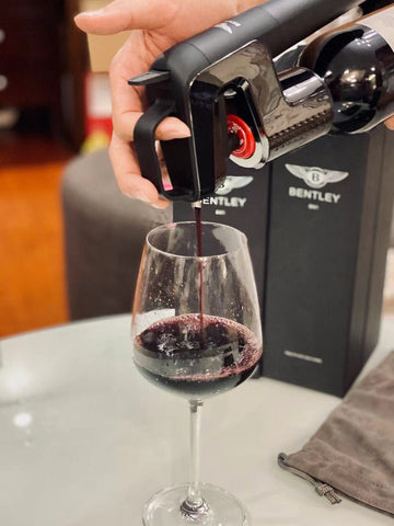 FIFN Wine Tasting Kit with Wine Aerator, Standard Needle, User Guide, Argon Gas Canisters (Set of 3), Needle Cleaning Solution, and Portable Bag - FIFN